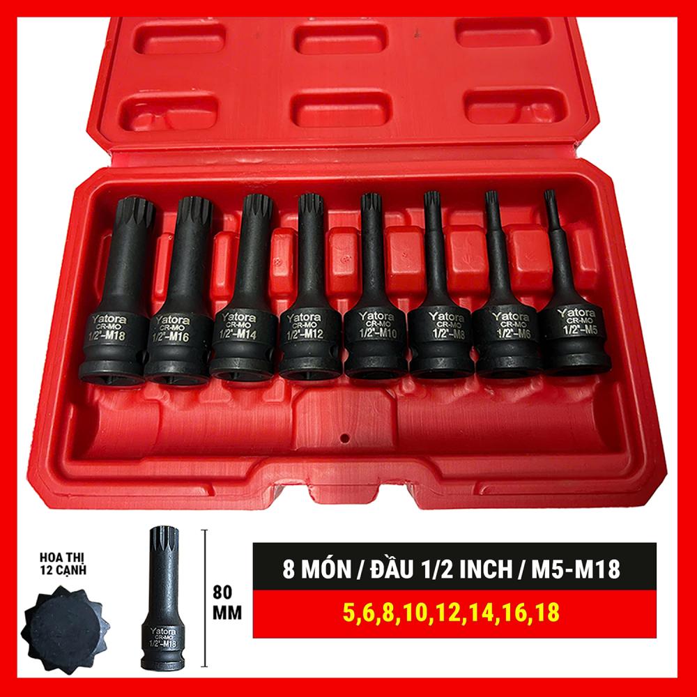 Bộ khẩu M hoa khế 1/2 inch 8 món